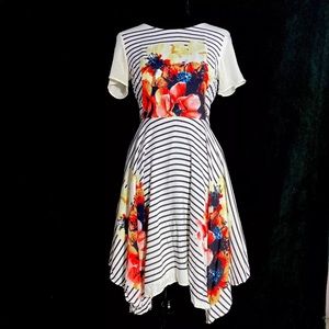 New Anthropologie Dress size 10 (cost $178 plus tax)